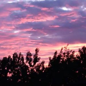 青年女人屄日进好舒服
